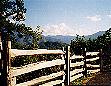 Split rails grace the landscape
