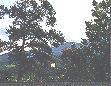 Gatlinburg from the bypass overlook